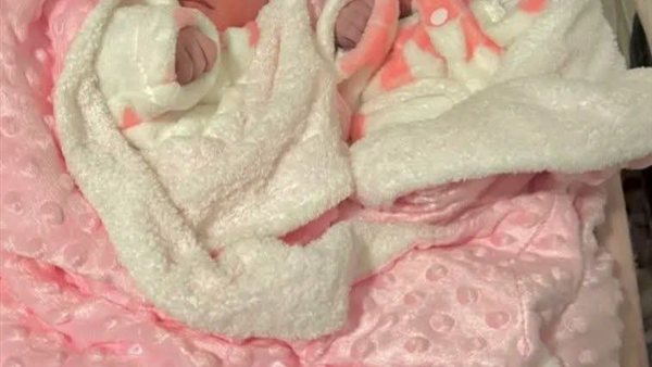 لمحة نيوز