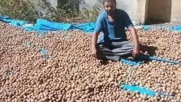لمحة نيوز